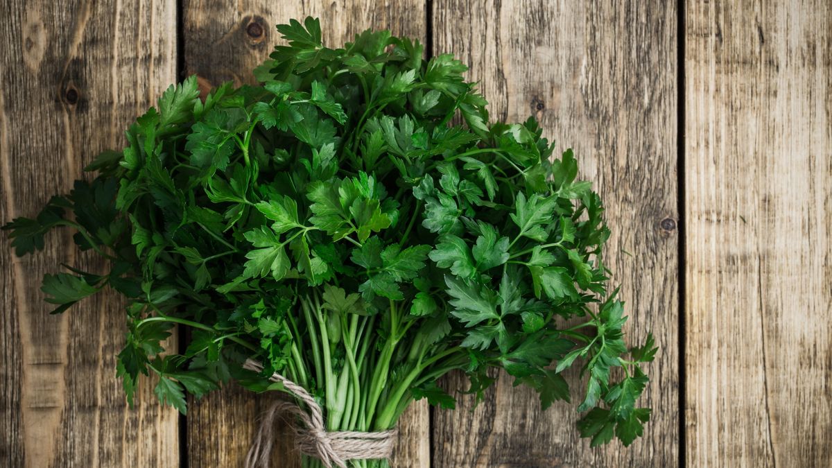 How to prune parsley for a bushier plant – simple tips for success