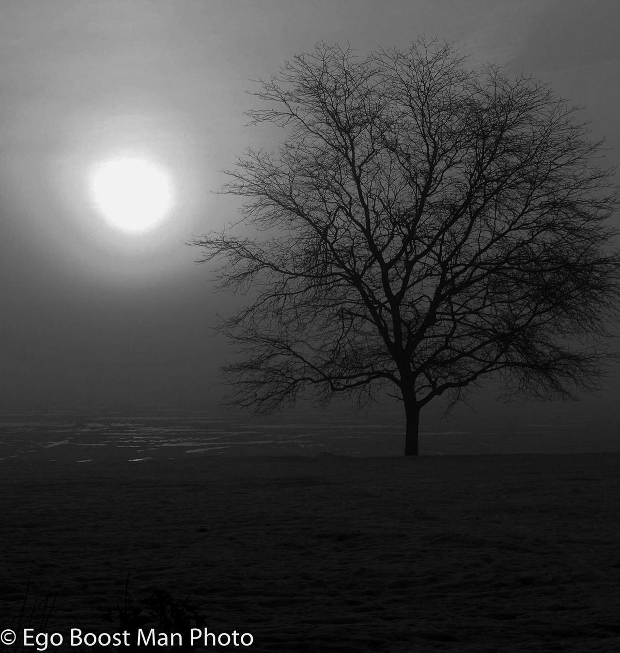 GuruShots - Powerful Black &amp; White Jan 26