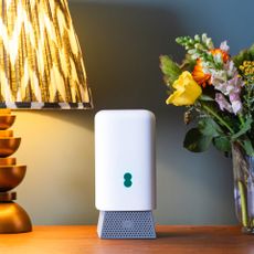 white EE speaker in front of a grey wall