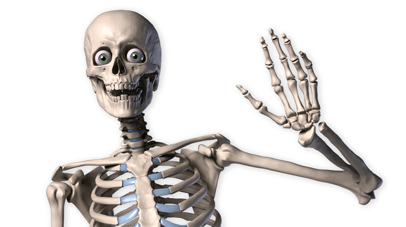 Premium Vector | Funny skeleton poses illustration