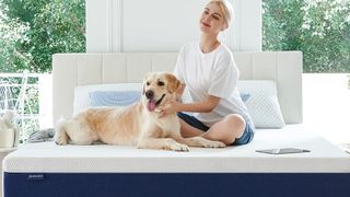 Best mattress on Amazon under $400 featuring a woman and dog sitting on top of a Molblly 10 inch Gel Memory Foam Mattress