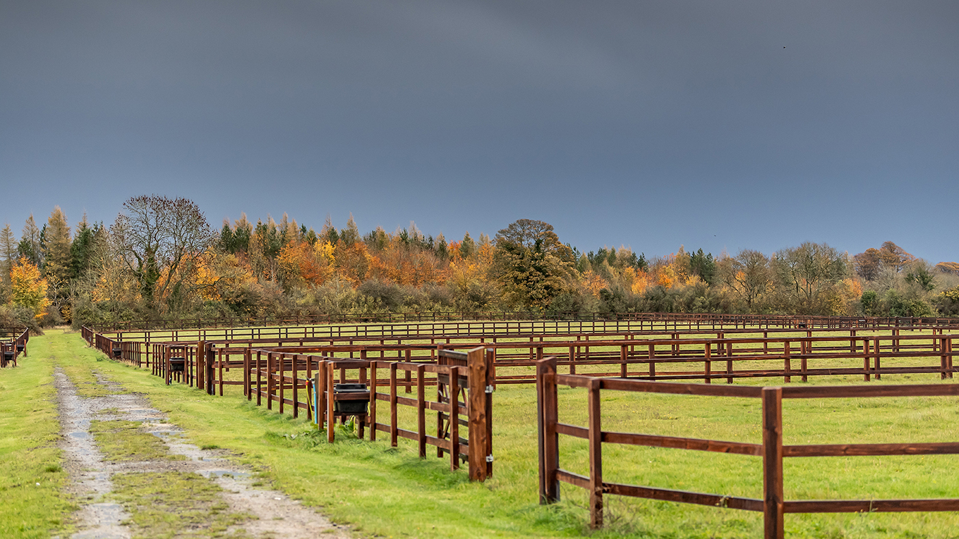 Cotswold-Club-Equestrian-44.jpg