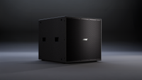 The Bose Professional ShowTime STS118E 18-inch Outdoor Subwoofer.