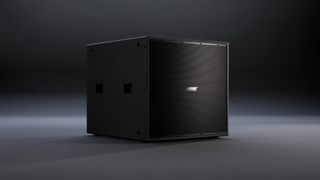 The Bose Professional ShowTime STS118E 18-inch Outdoor Subwoofer.