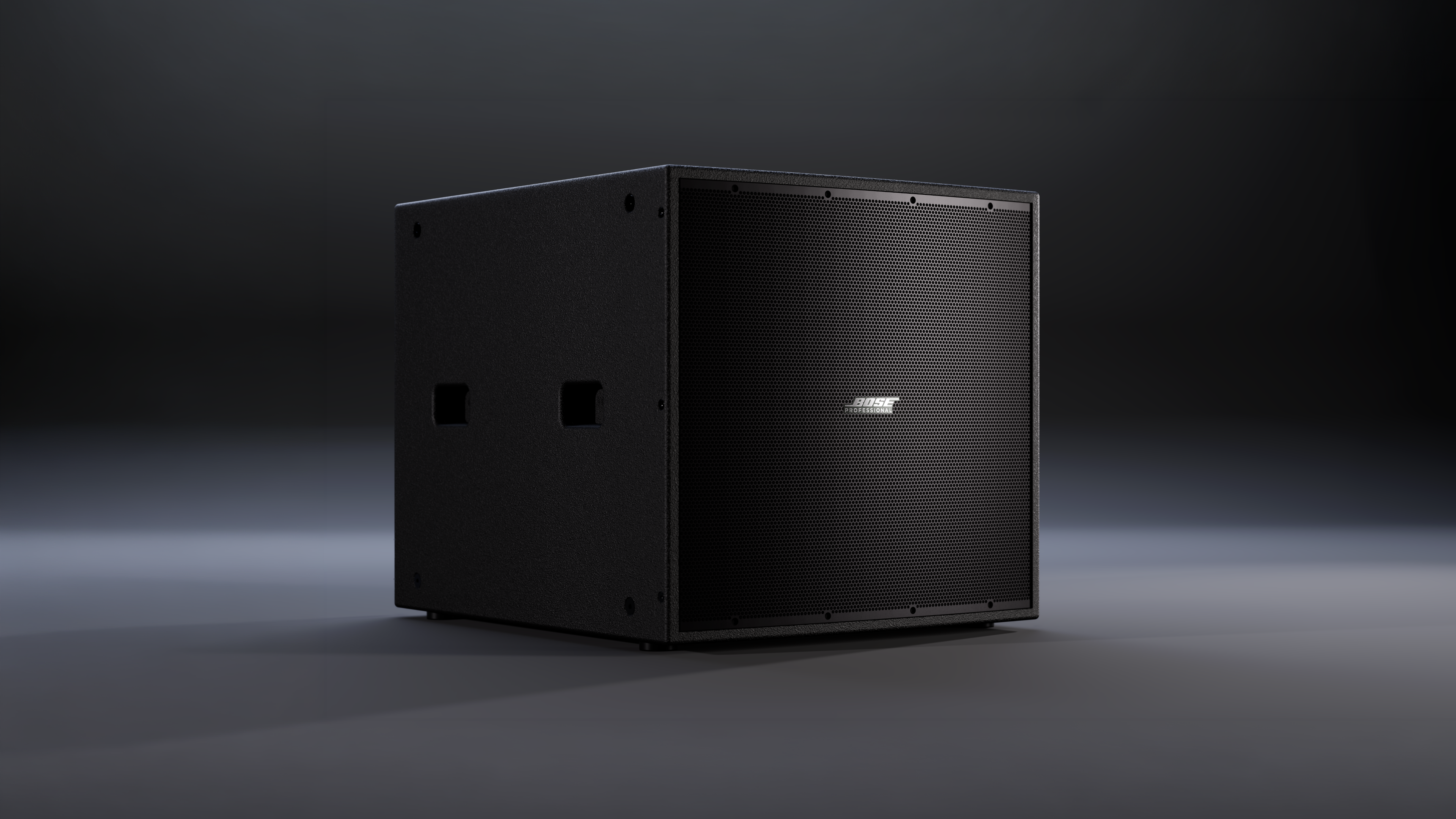 The Bose Professional ShowTime STS118E 18-inch Outdoor Subwoofer.