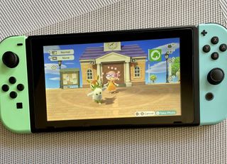 Animal Crossing New Horizons Photo Hero