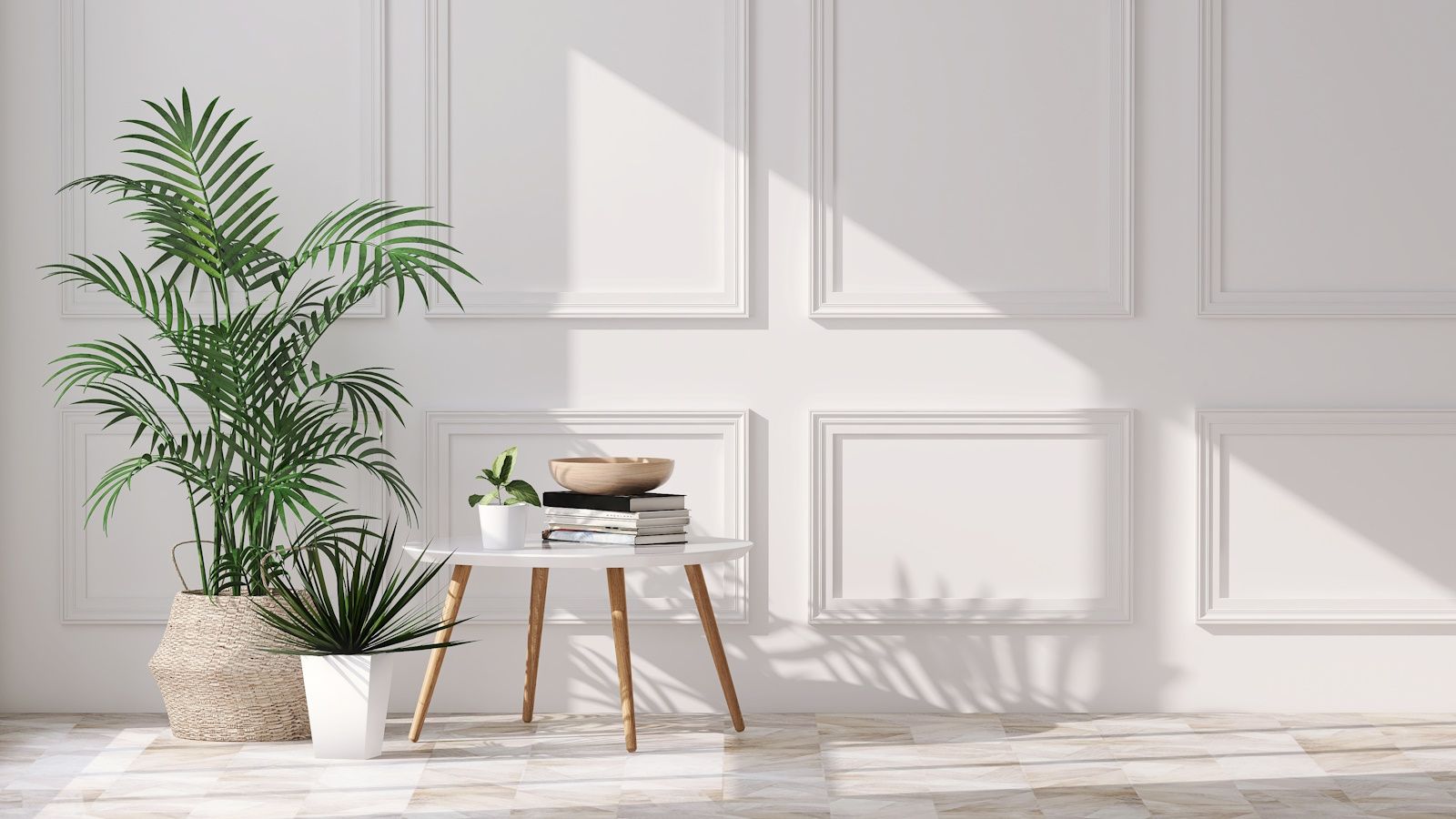 Best indoor plants – 12 of the most versatile plants to suit any room in your home