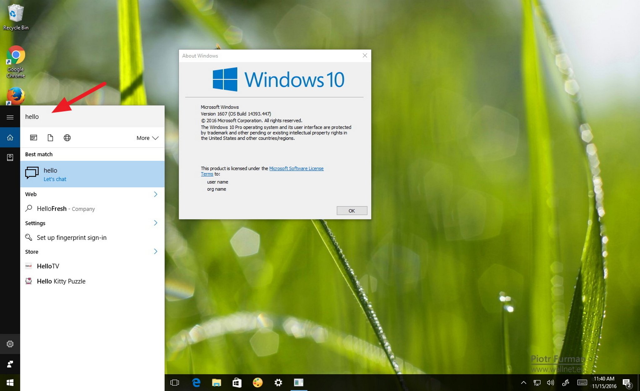 Windows search. Windows 10 build 1607. Windows search Box. Обои виндовс 11 4к Кортана. Hello Chrome.