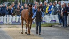 The Luhm&uuml;hlen Horse Trials dressage times have been released, with Brit Tom McEwen and CHF Cooliser, pictured, first to go in the CCI5* dressage