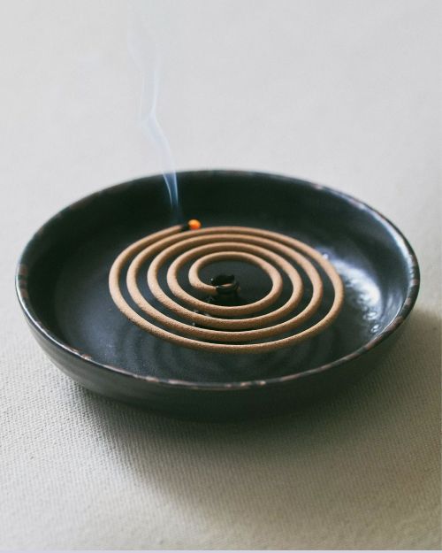 Verdant Forest Spiral Incense