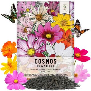 Seed Needs, 3,000+ Crazy Cosmos Seeds Wildflower Mix