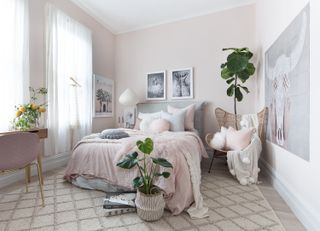 Cheese plant and other house plants in light pink bedroom with natural sunlight