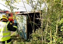 A3M_Horse_Rescue_02.jpg