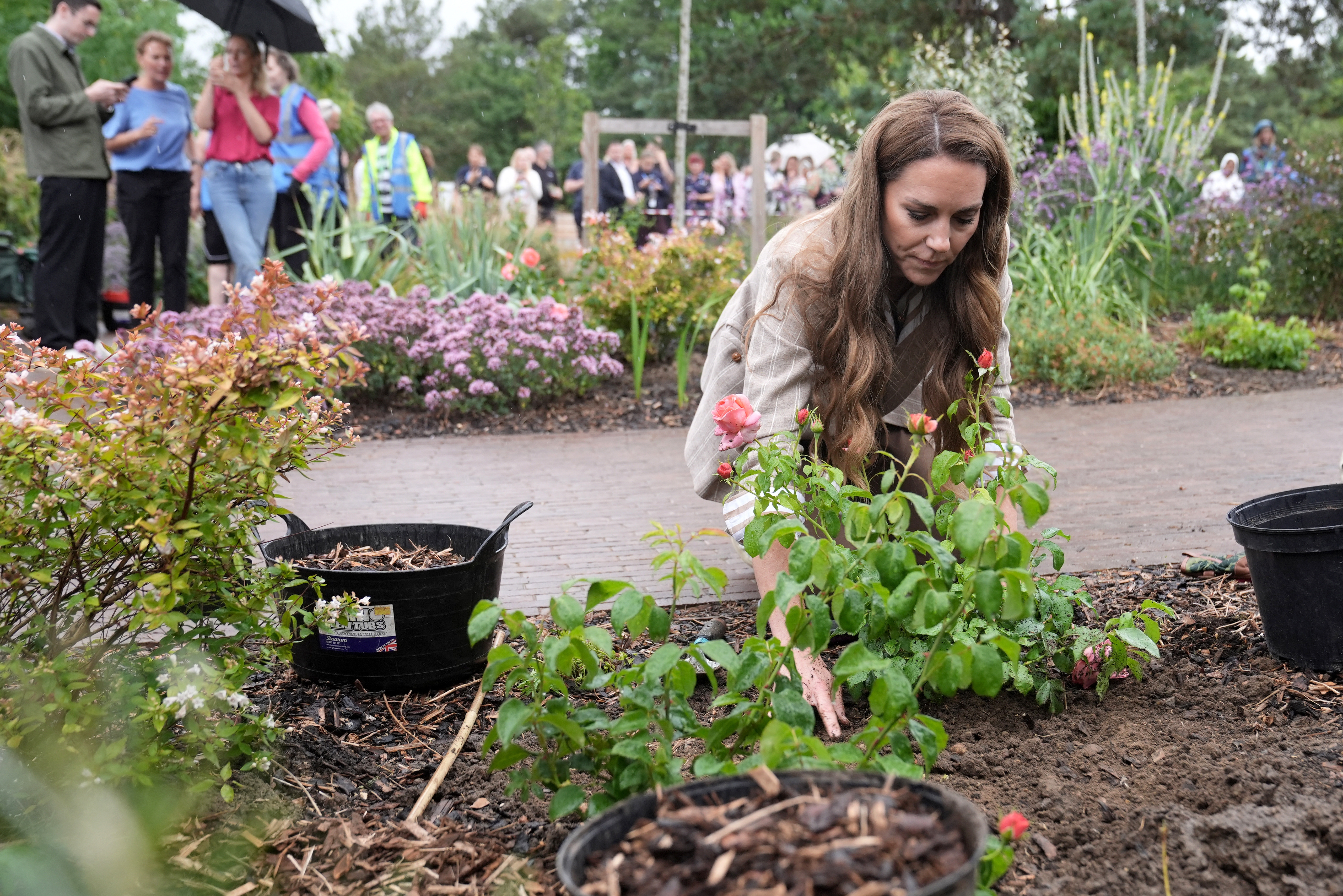 Kate Middleton planting roses in a tan blazer