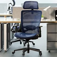Flexispot Ergonomic Office Chair$210Now $147
Save $63