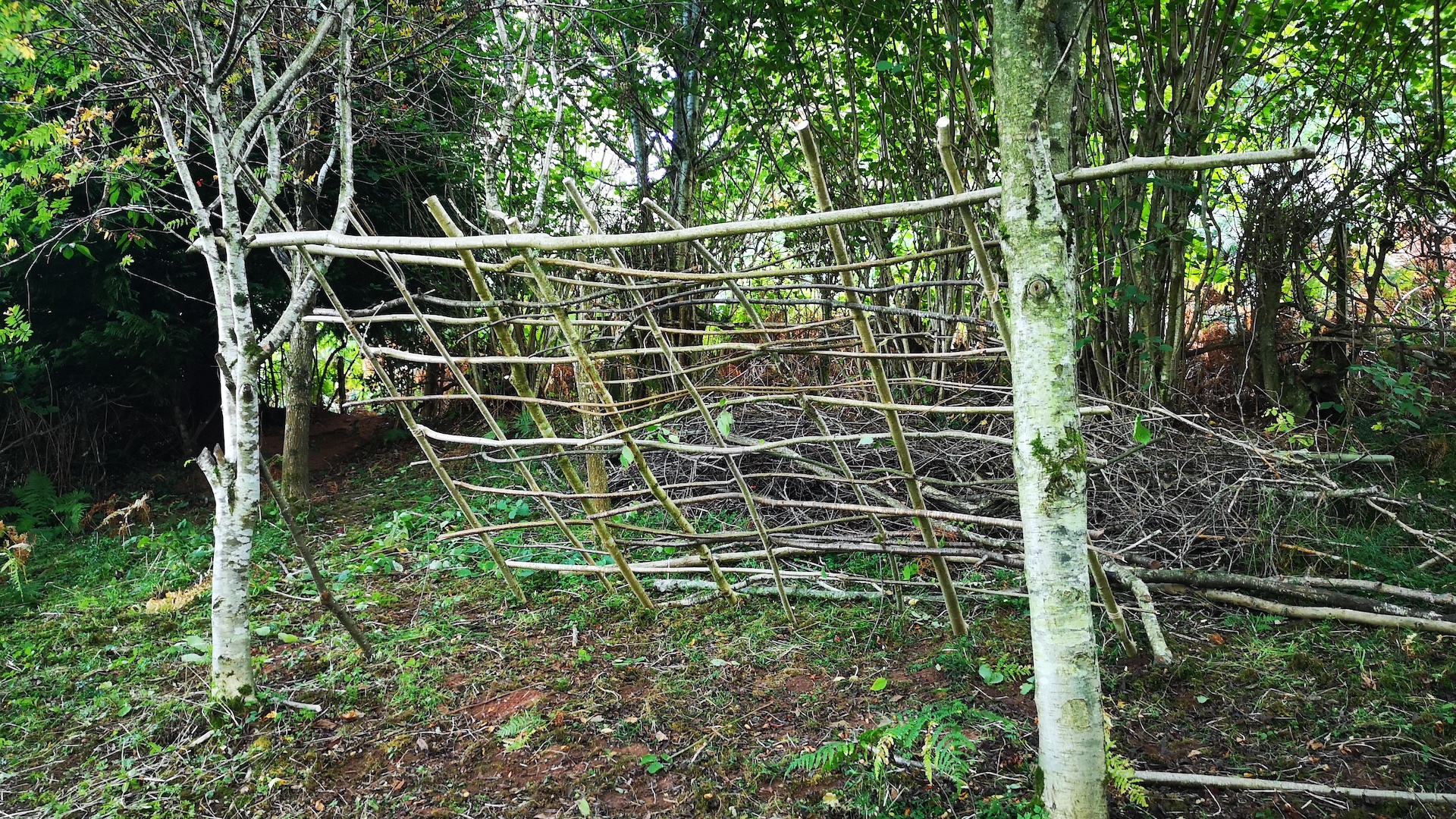 Weaving branches as part of building a shelter from natural resources