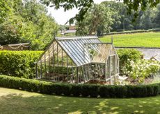 Alitex greenhouses