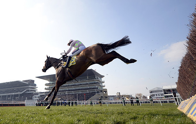 Vautour