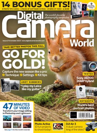 DCam 273 new issue post US cover image