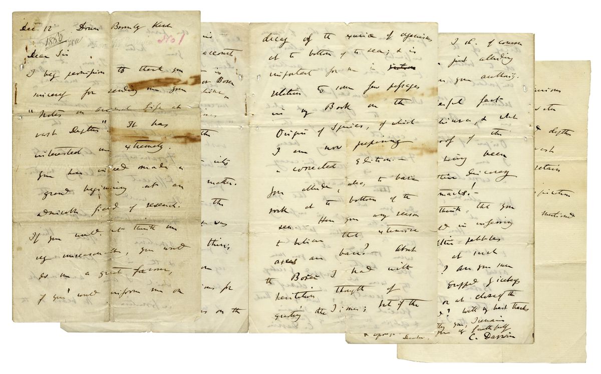 Darwin letter