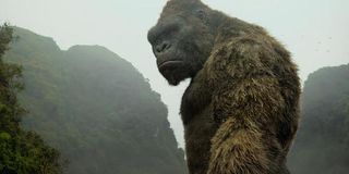 King Kong gazing in Kong: Skull Island