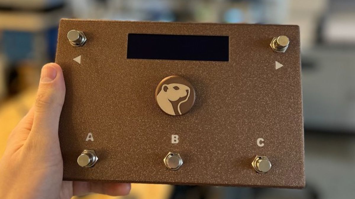 Groundhog Audio onePedal