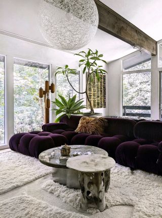 Living room with purple couch and houseplants