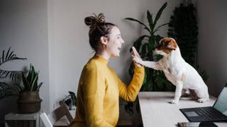 woman high fiving her dog