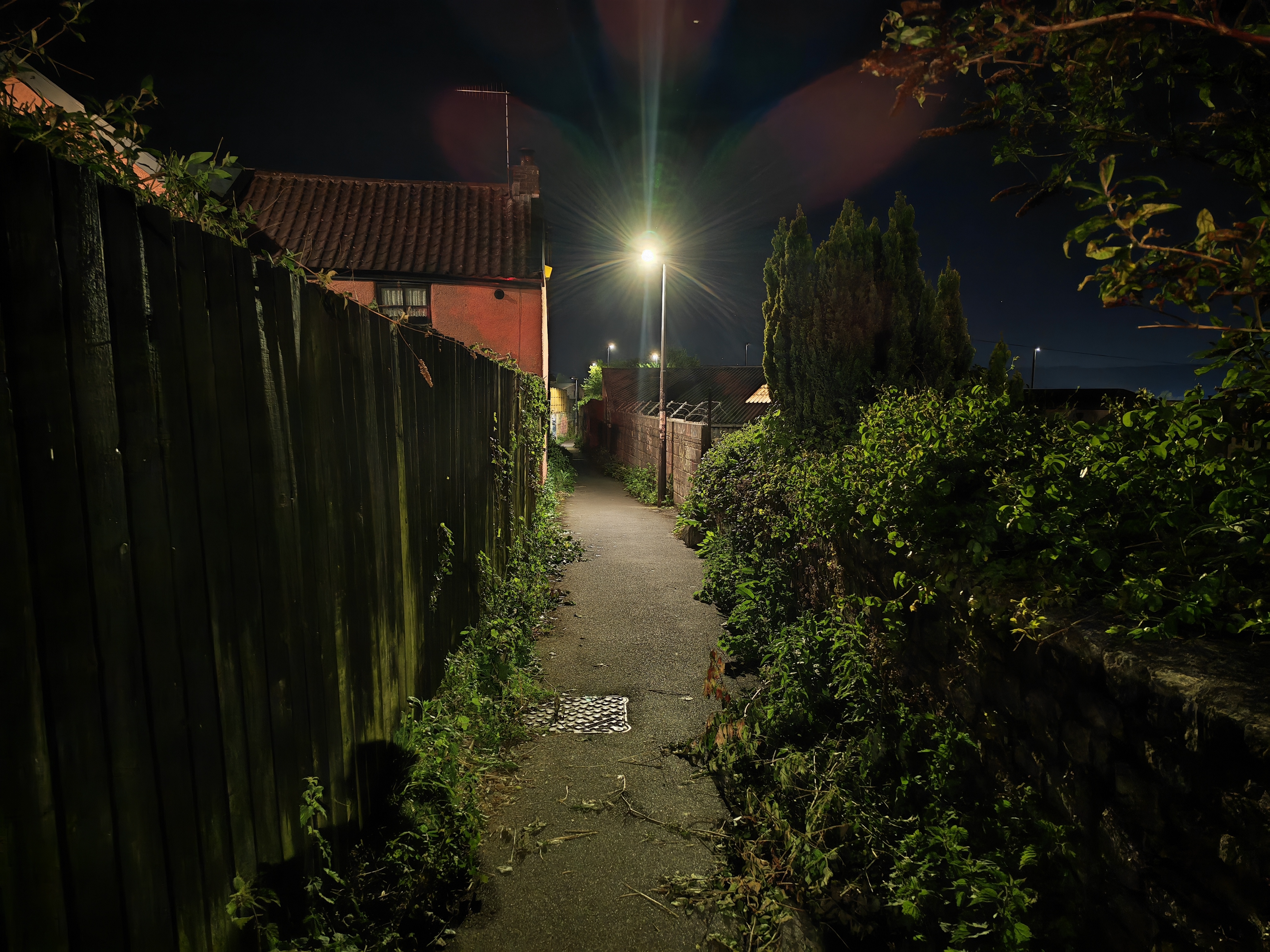 Honor 600 Pro camera samples