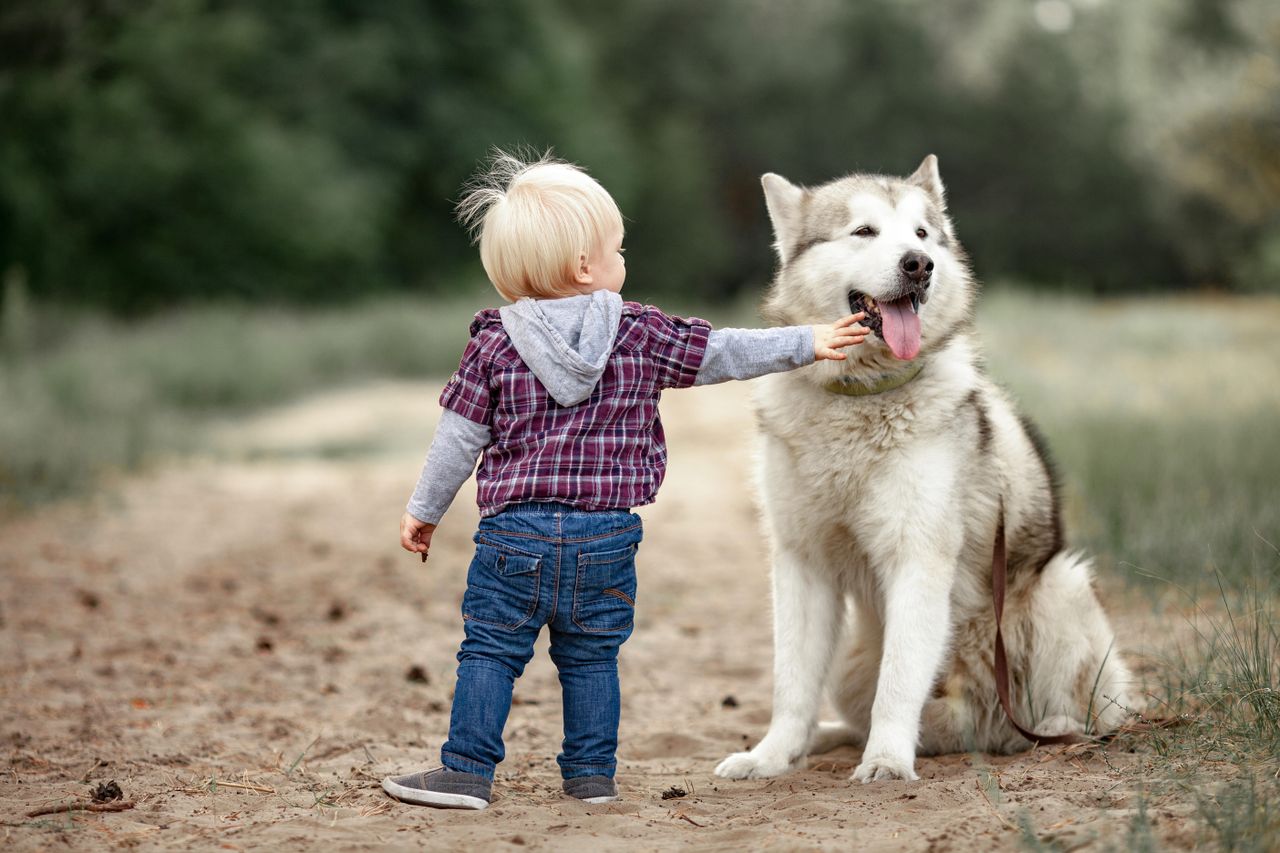 Big dogs are the best.