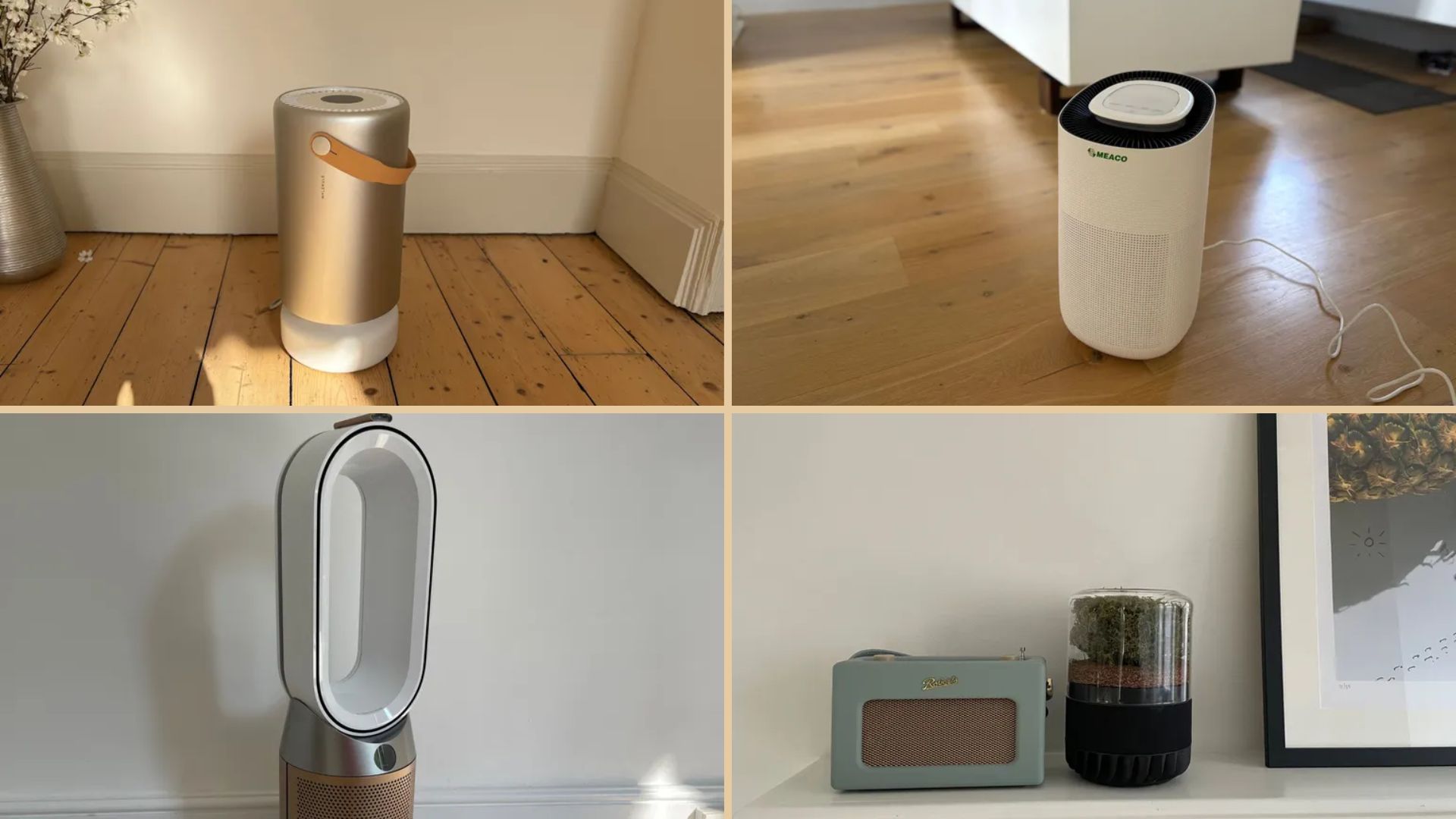 The best air purifiers, according to our tests, the Shark NeverChange, Dyson Hot + Cool Formaldehyde, Briiv 2 Pro, Molekule Air Mini+, and Vitesy Eteria on a green, leafy background