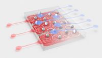 Physicists build a computer from 400 particles orbiting in liquid with 10 times the error of memristor rivals.