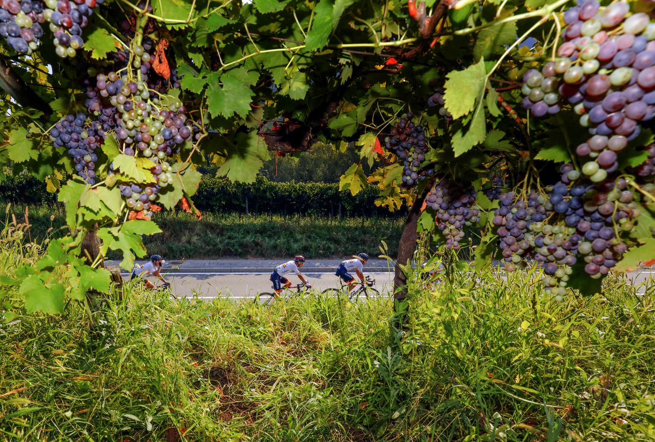 The 2021 European Championships was held between the apple orchard and vineyards of Trento