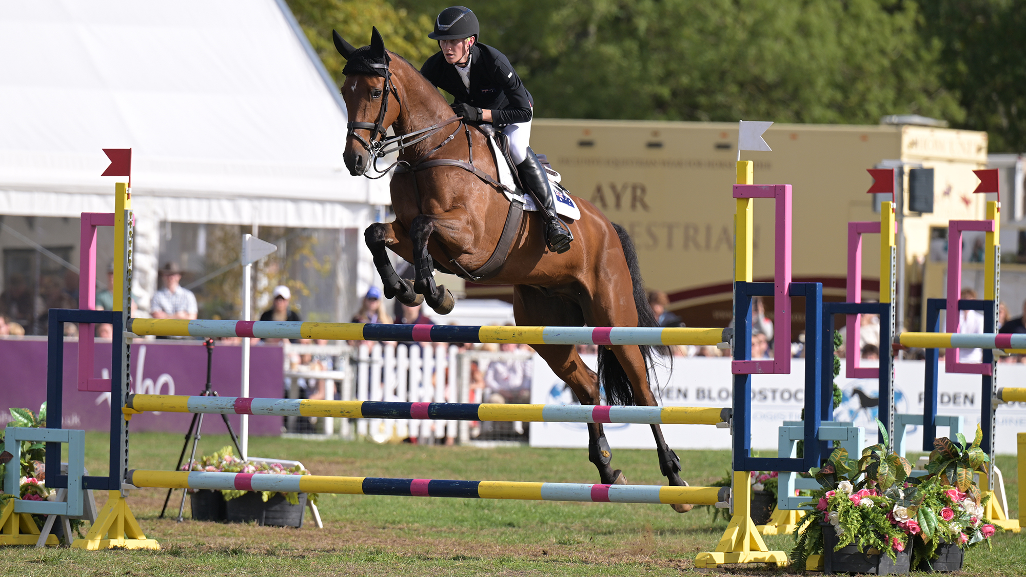 Oliver Barrett, a rider in a black coat, steers Sandhills Briar, a bay horse, over a multi-coloured showjump at Blenheim Horse Trials 2026