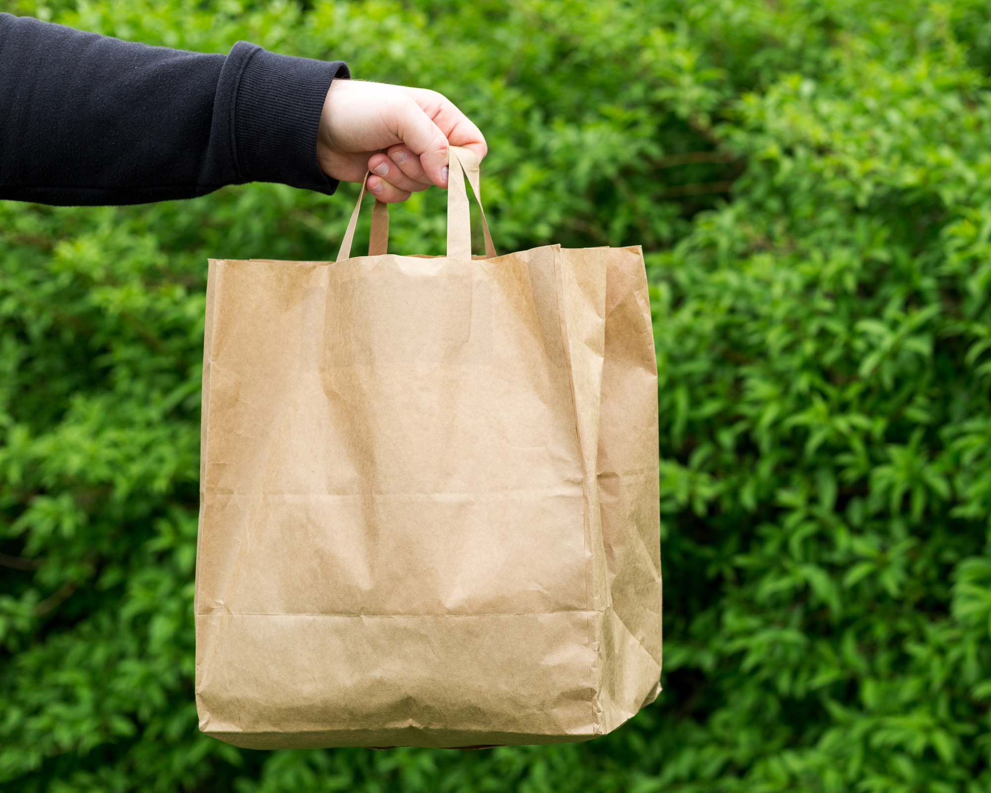 hand holding paper grocery bag in front of a hedge