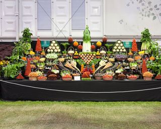 Vegetable display on black table at Chelsea Flower Show