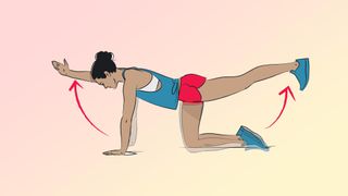 an illustration of a woman doing the birddog exercise