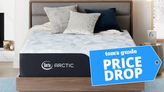 Serta Arctic mattress