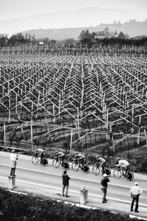 Taylor Phinney (last in line) follows his BMC teammates