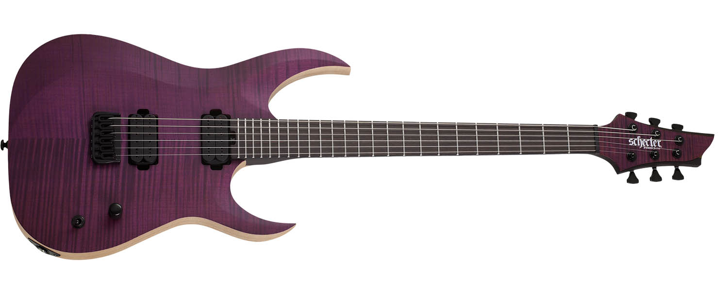 Schecter John Browne Tao