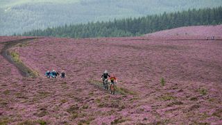 Riders at the YT Industries TweedLove Enduro series