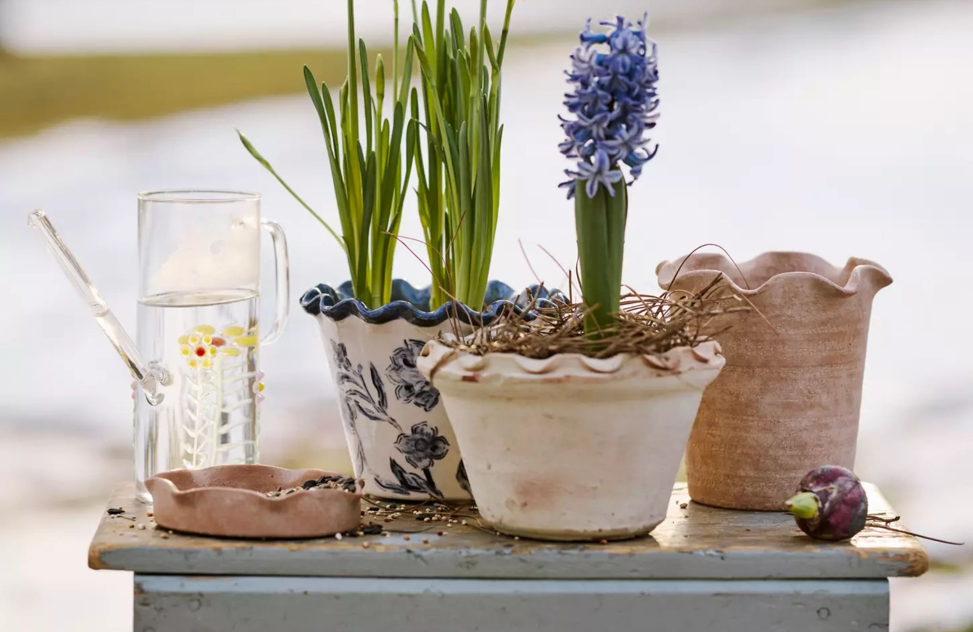 Terrain's New Gardening Collection: What to Shop for Spring 2026