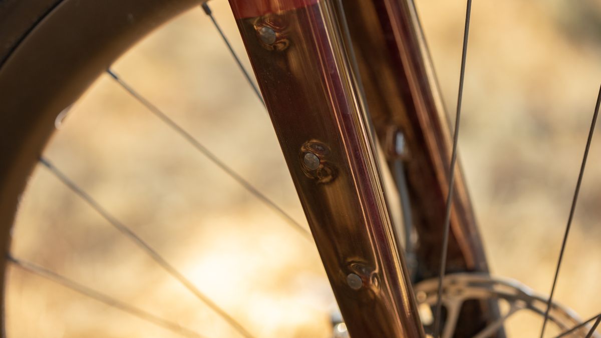 Trek Checkpoint SL 6 eTap fork mounting points