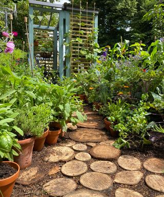 sawn log pathway with planting on either side