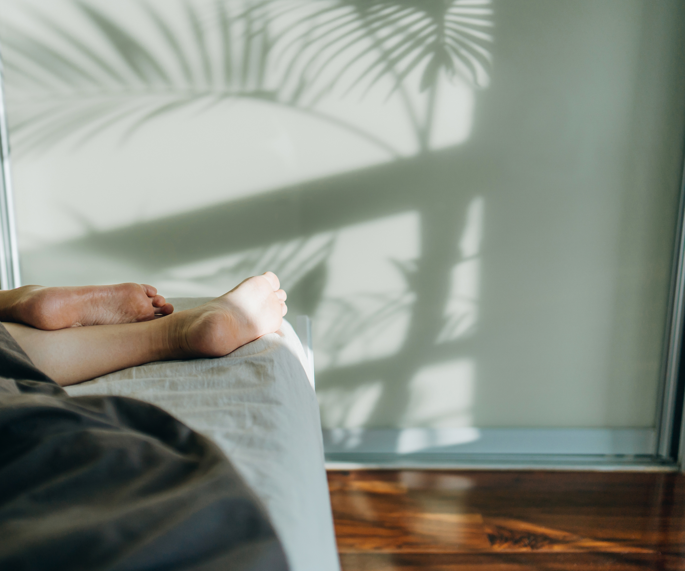 shadow of tree on green wall in bedroom with edge of bed in shot showing someone's feet peeking out from underneath the covers