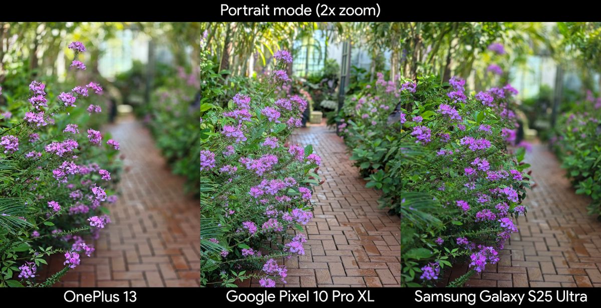 Comparing portrait mode photos between the Google Pixel 10 Pro XL, Samsung Galaxy S25 Ultra, and OnePlus 13