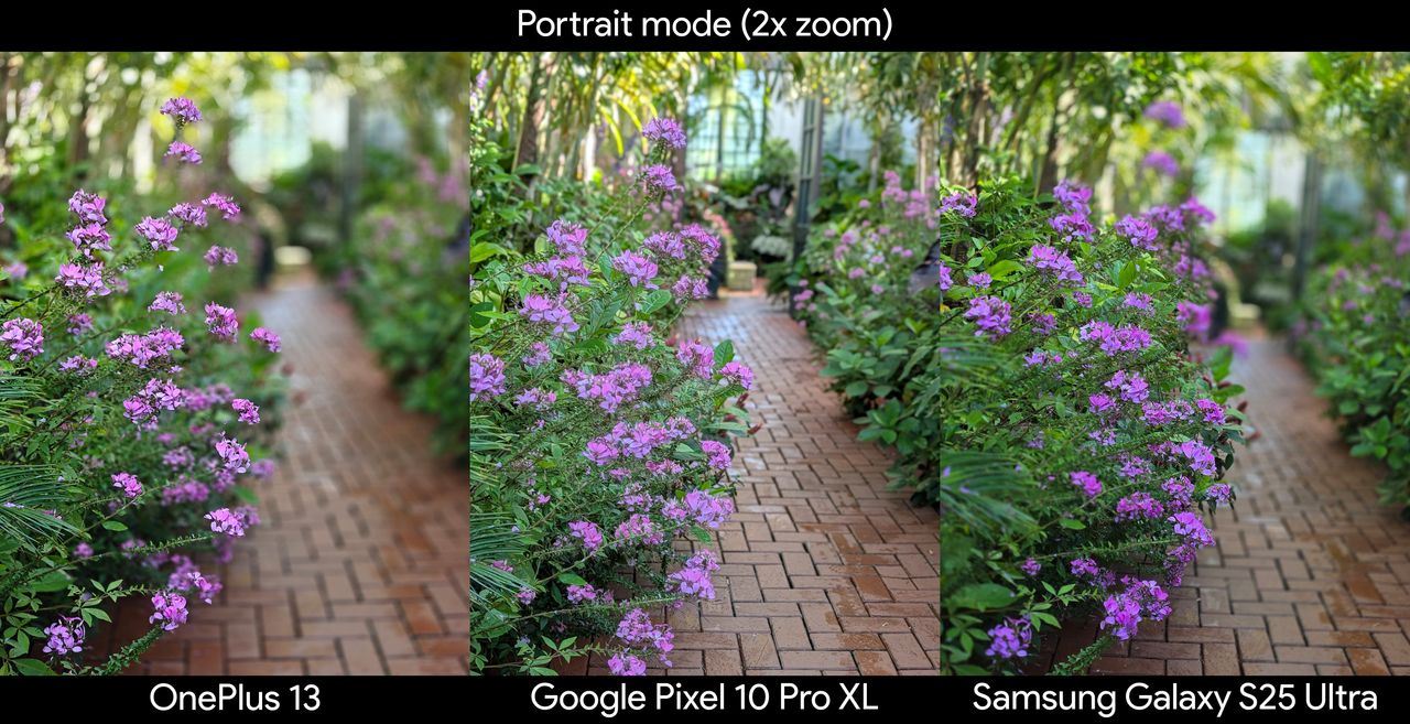 Comparing portrait mode photos between the Google Pixel 10 Pro XL, Samsung Galaxy S25 Ultra, and OnePlus 13