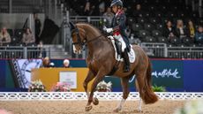 London international dressage
