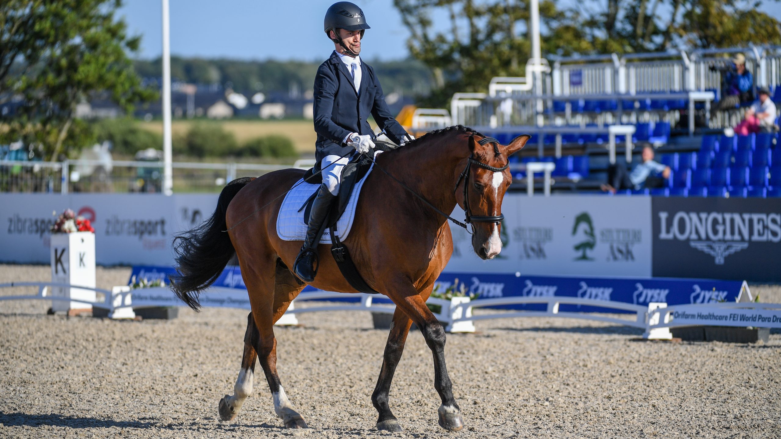 World Para Dressage Championships results Richard Snikus and King Of The Dance