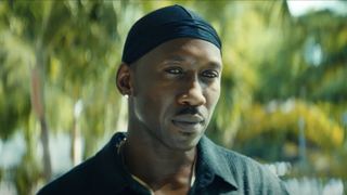 mahershala ali in moonlight